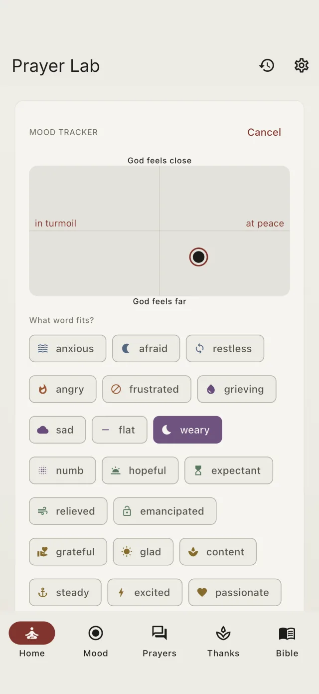 The two-axis check-in field with a mood word chosen